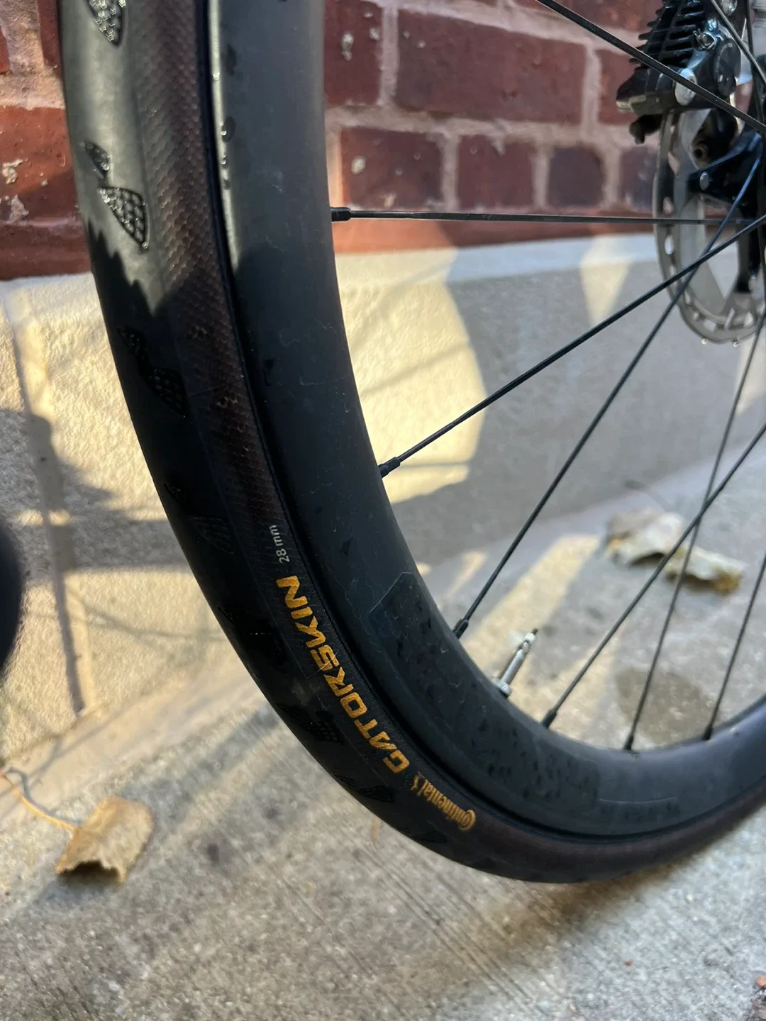 Trek Emonda Road Bike, Size 47 image indicator(5)