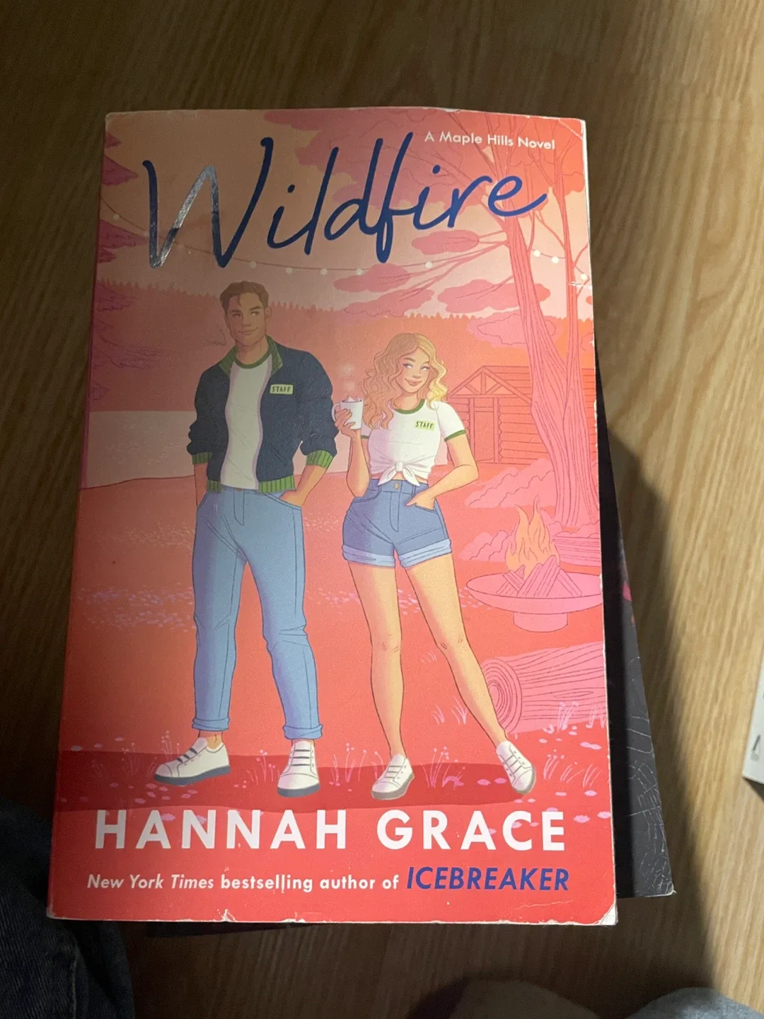 Hannah Grace & Ana Huang Book Bundle image indicator(2)