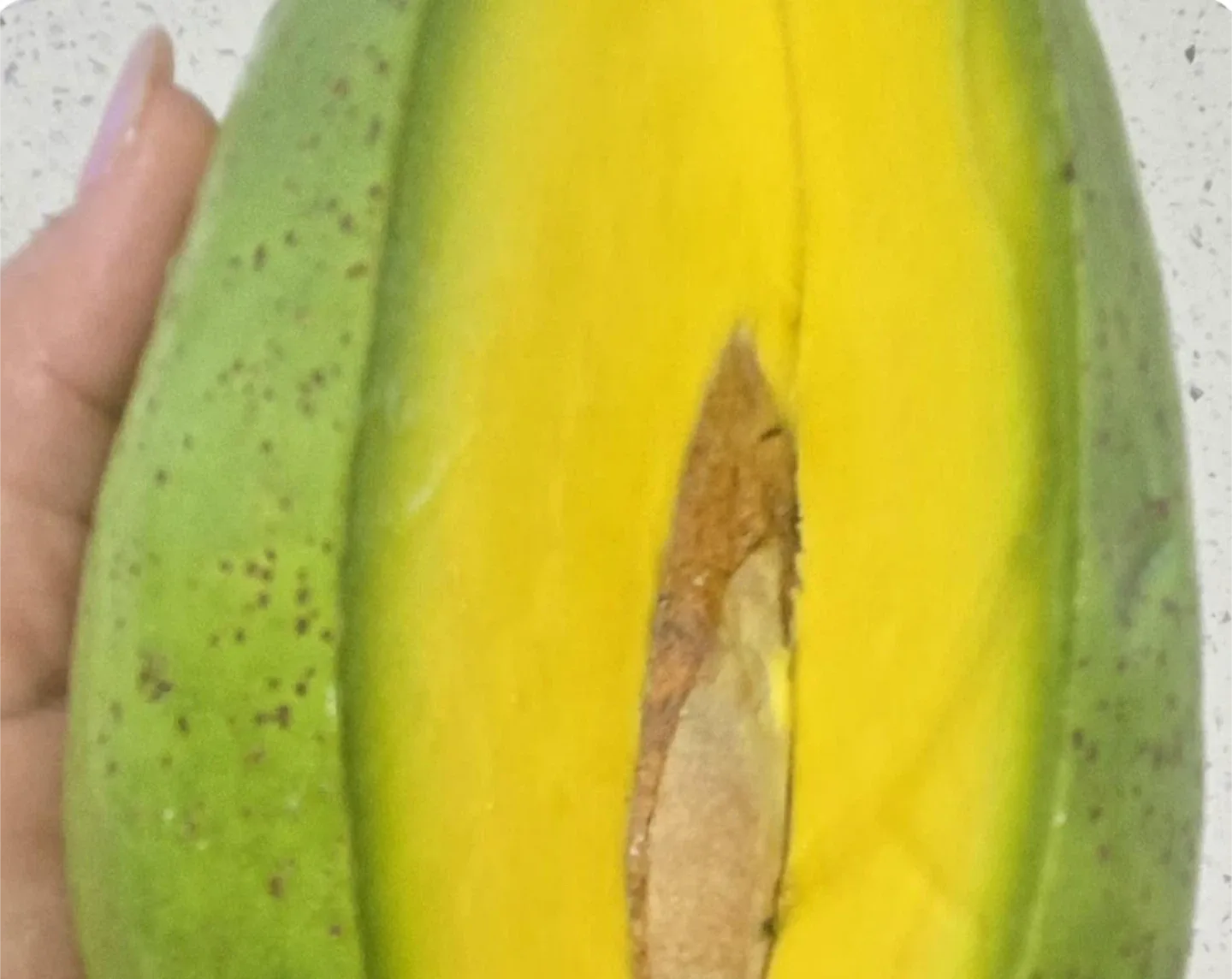 Avocado Plant    Choquette image indicator(3)