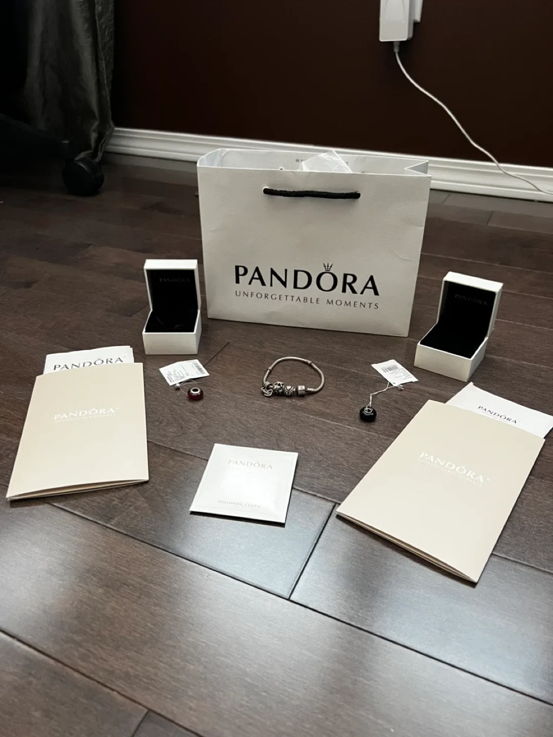 Pandora Bracelet and 5 Charms