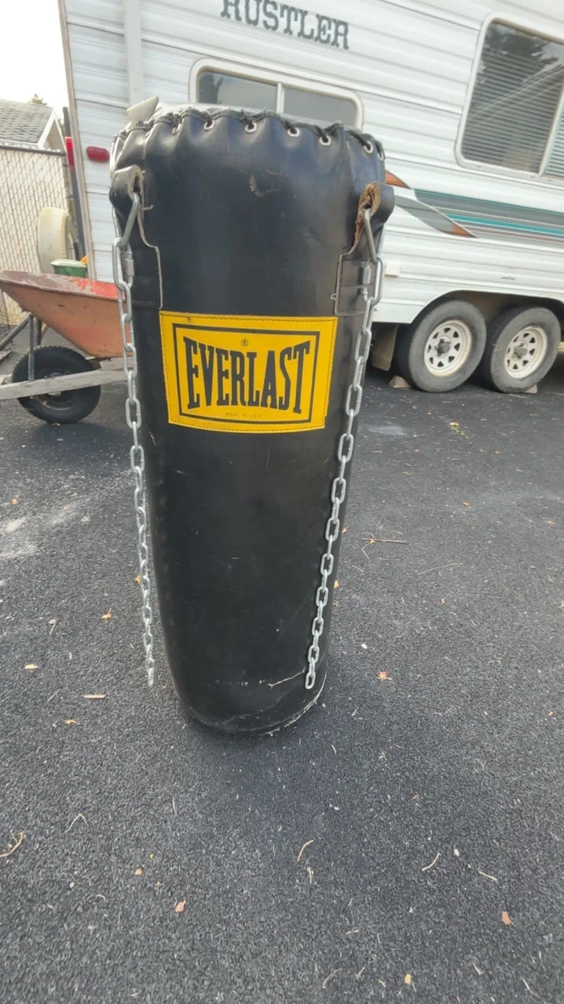 Everlast Heavy Punching Bag image indicator(3)
