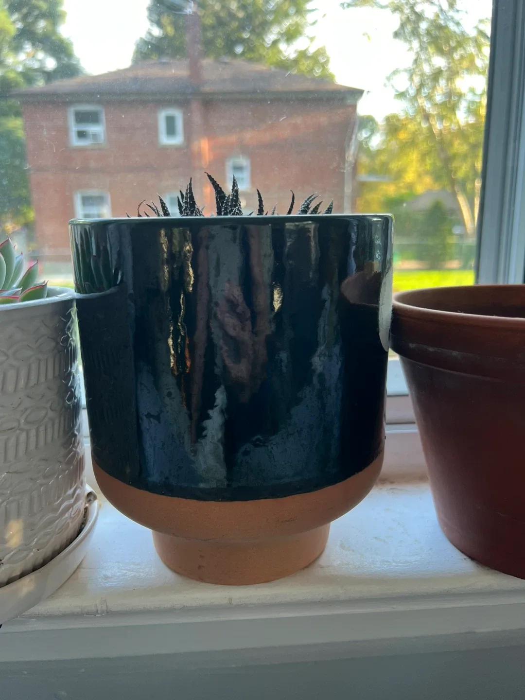 Dark Green Ceramic Plant Pot thumbnail