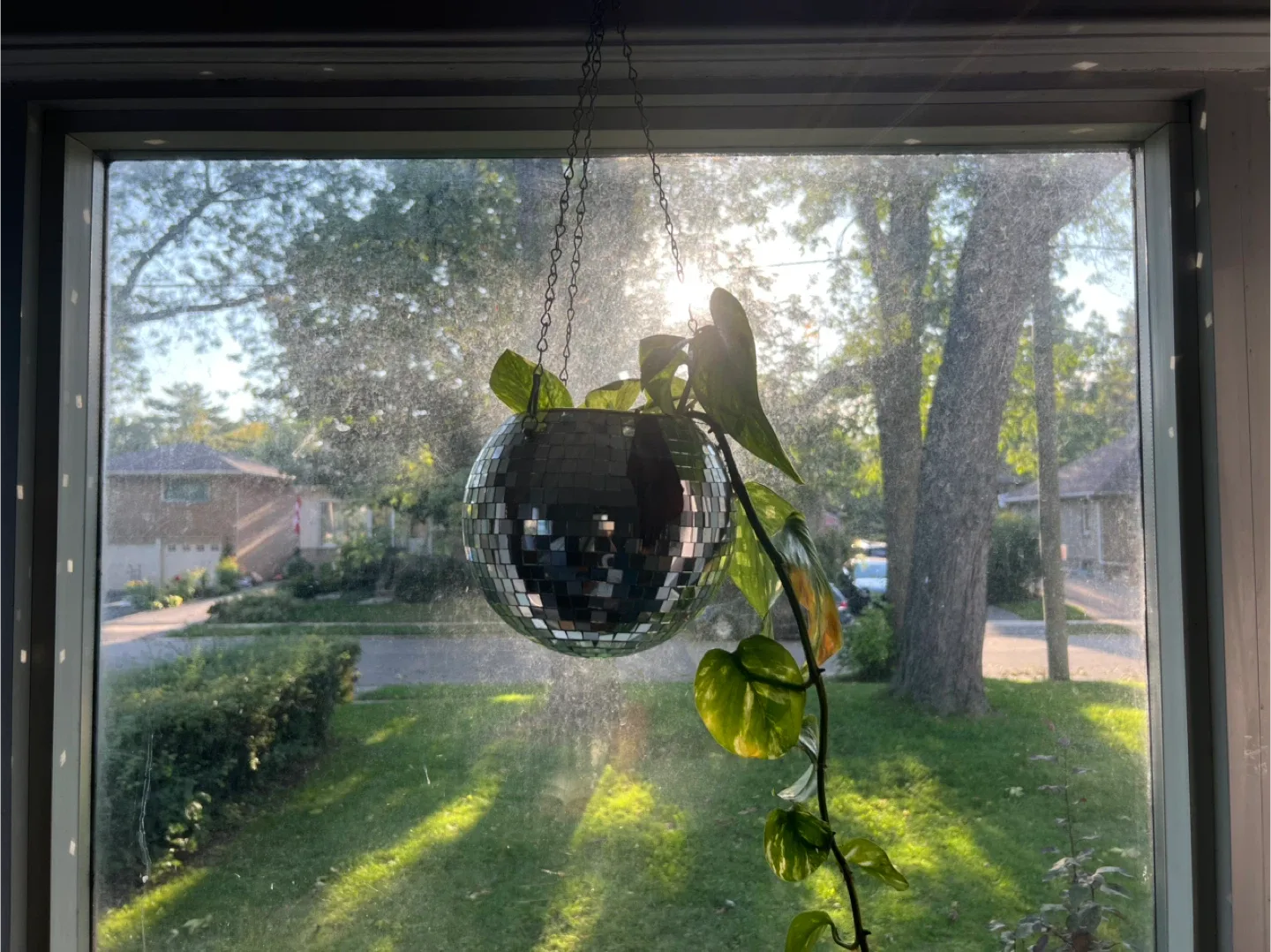 Disco Ball Hanging Planter thumbnail