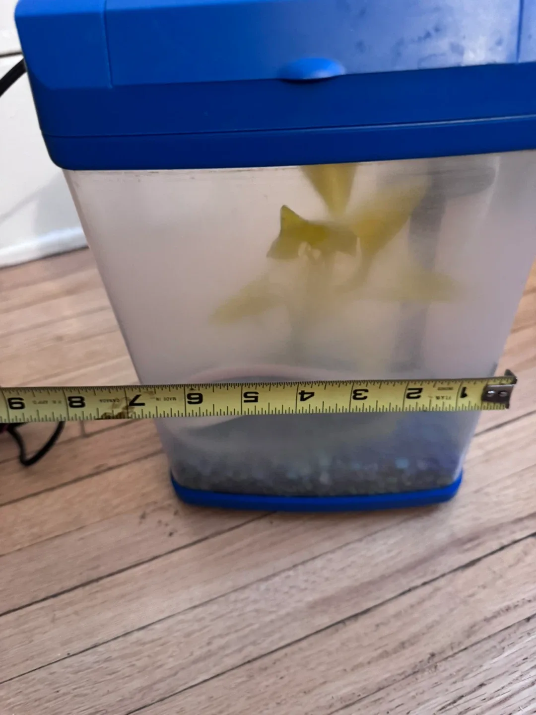 Aquarium Petcetera as photo image indicator(3)