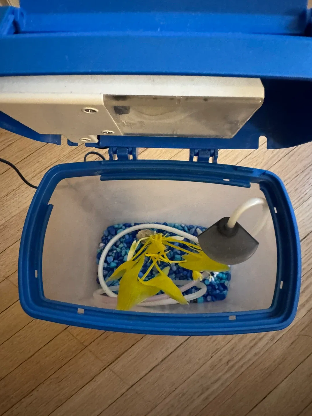 Aquarium Petcetera as photo image indicator(2)