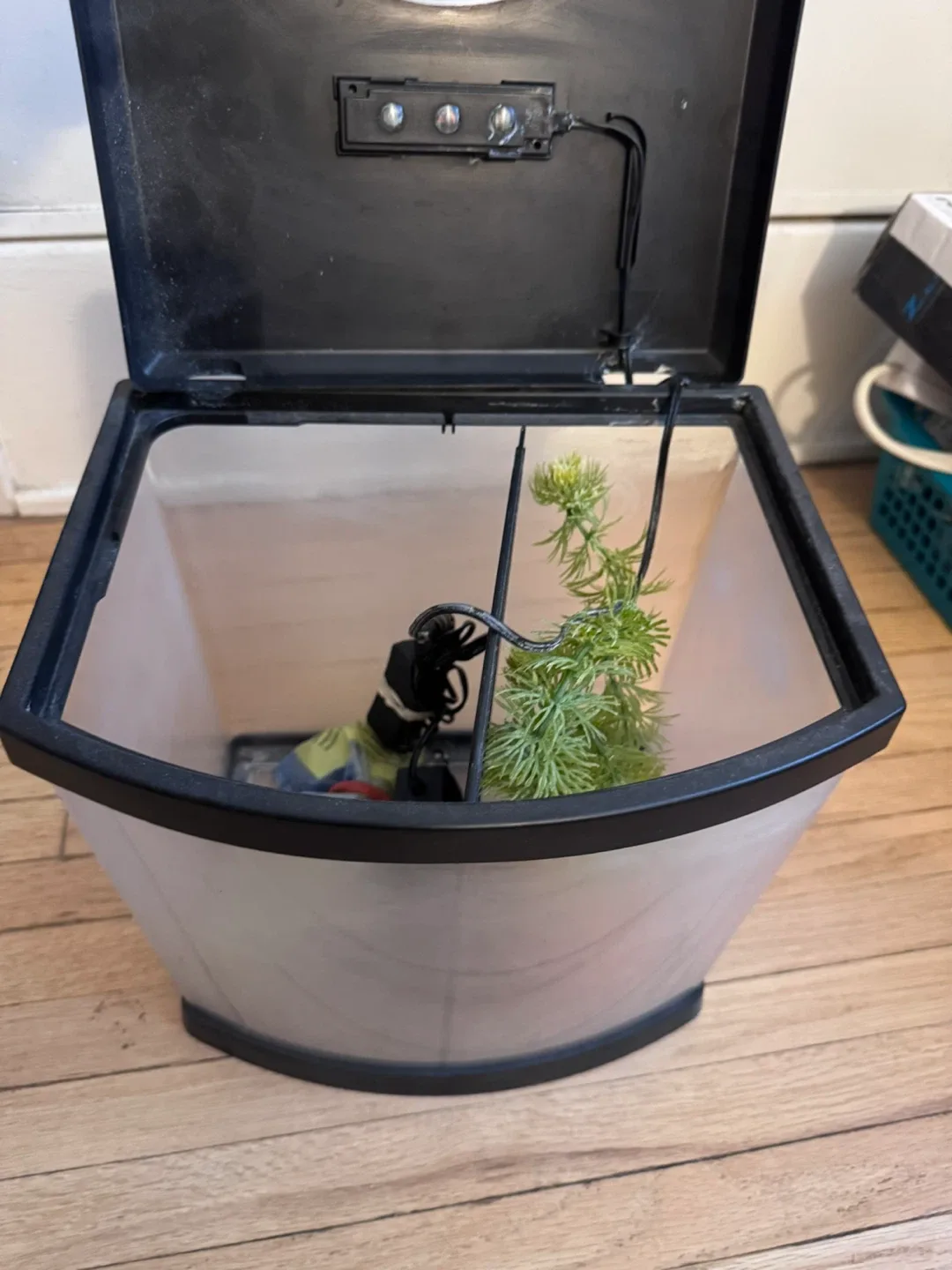 Top fine Aquarium with Divider as is image indicator(2)