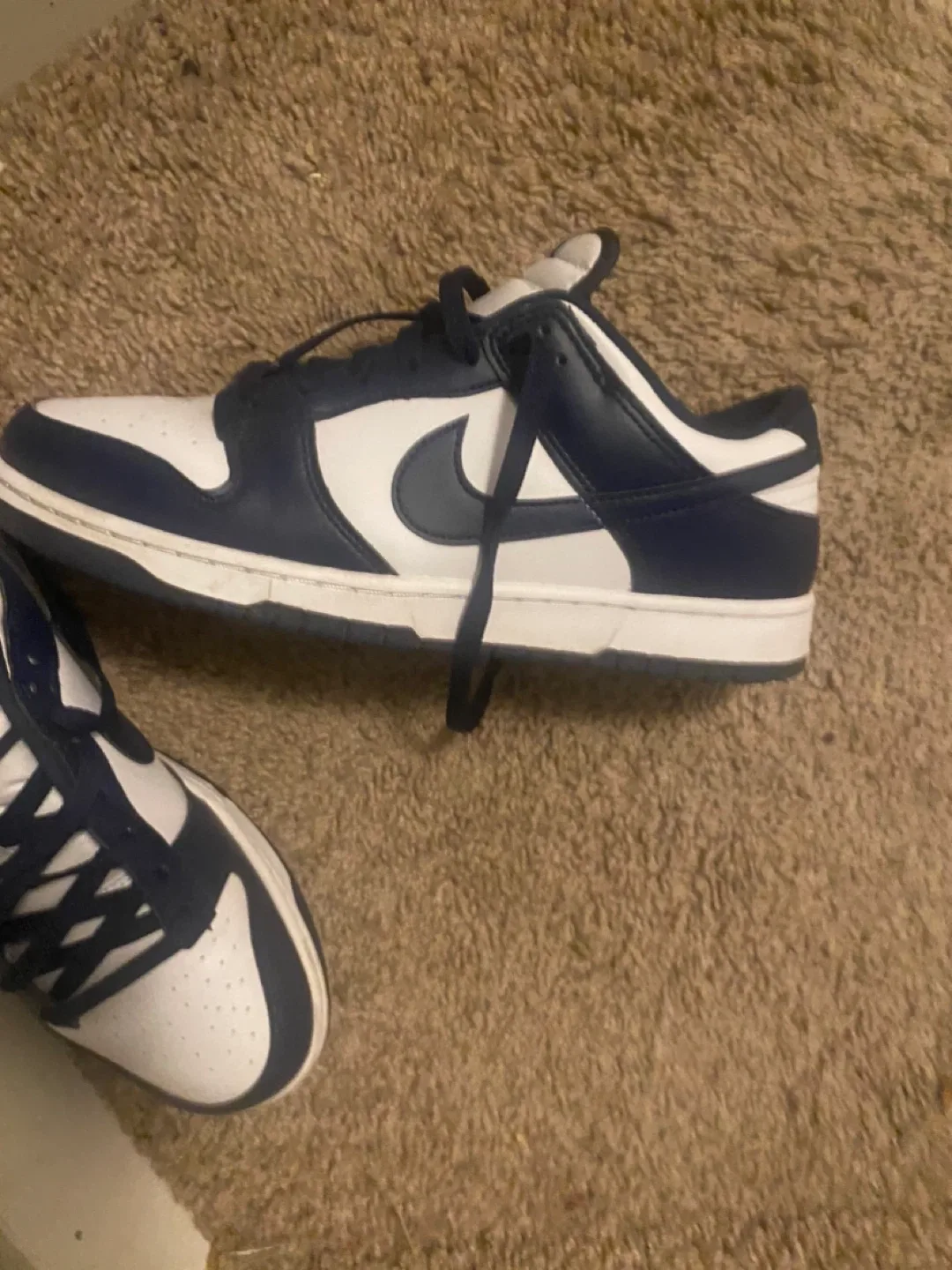 Nike Dunk Low Mens - Size 10 image indicator(2)