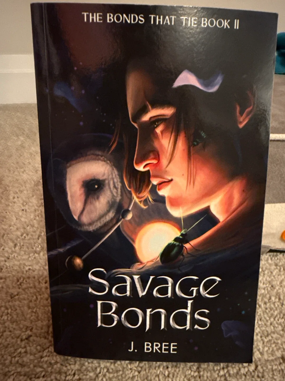 The Bonds That Tie Series by J. Bree, 6 Books image indicator(3)