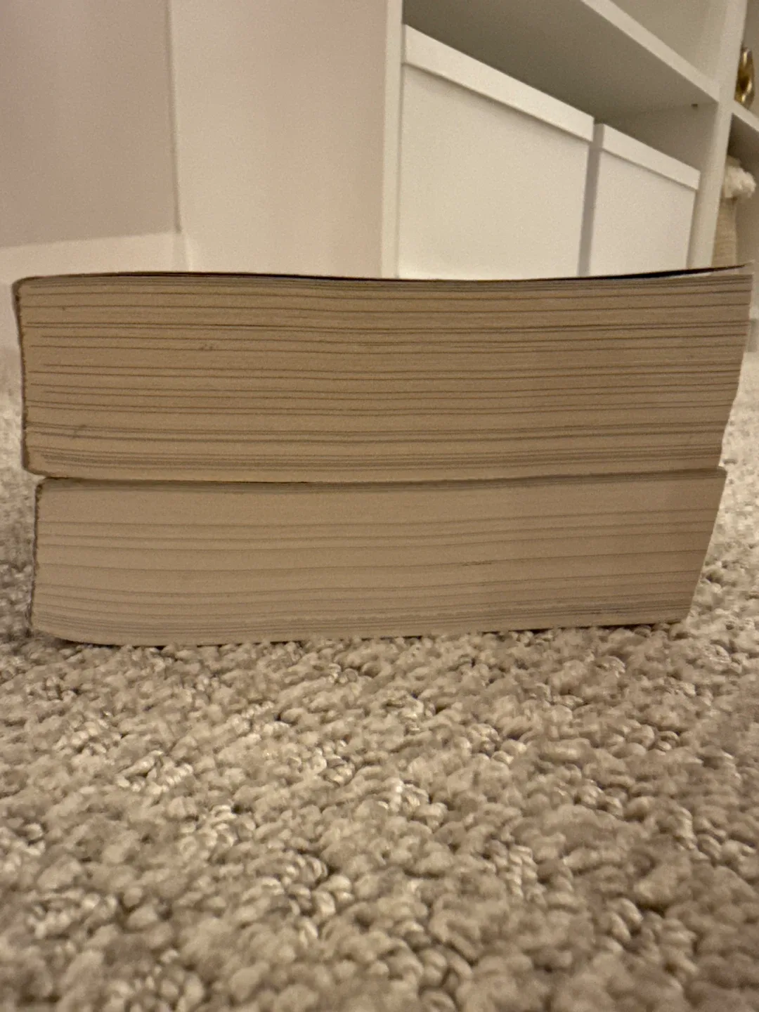 Phantasma & Enchantra by Kaylie Smith image indicator(3)