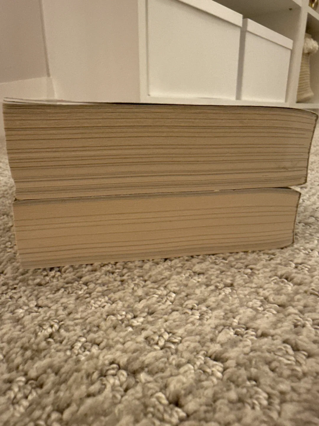 Phantasma & Enchantra by Kaylie Smith image indicator(5)