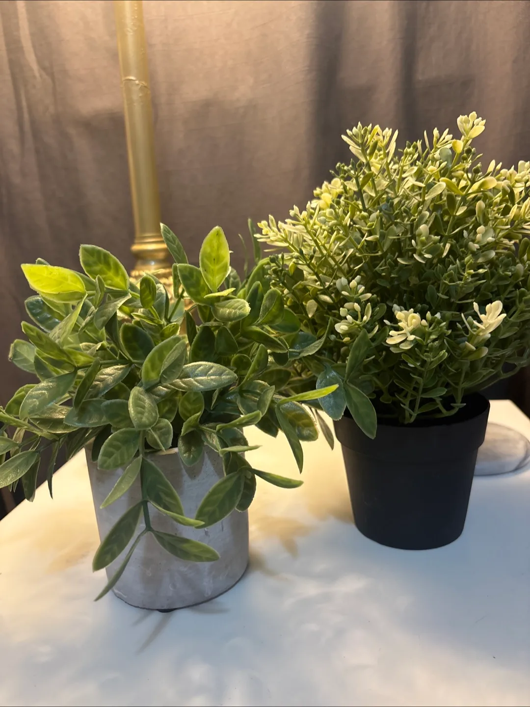 Artificial plants image indicator(3)