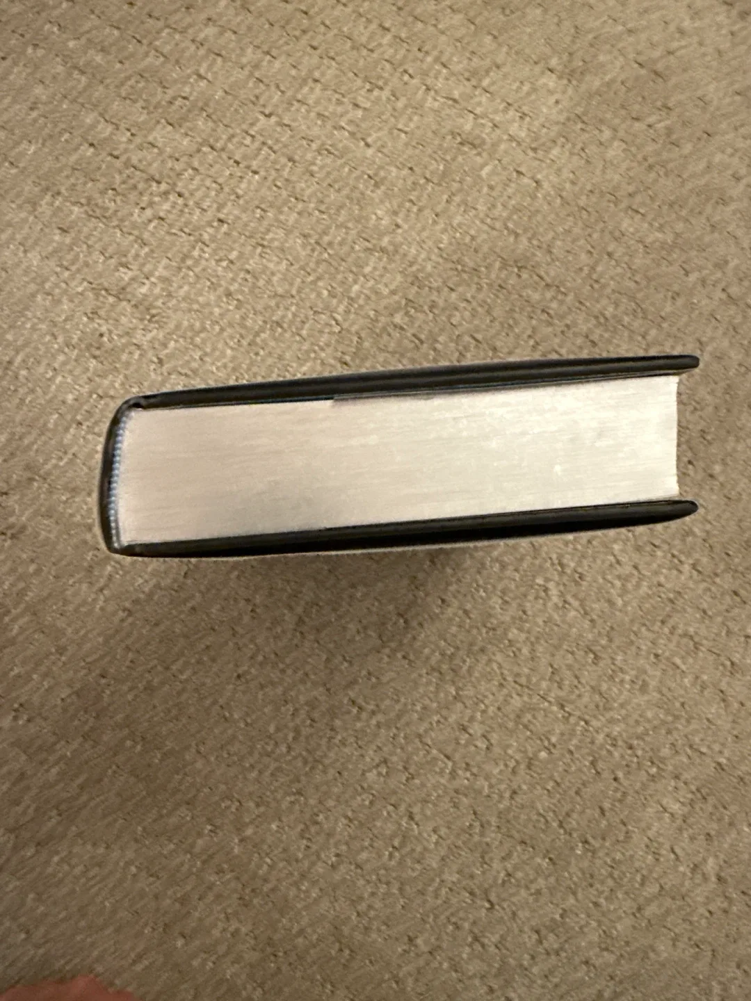 Silver Elite by Dani Francis image indicator(2)