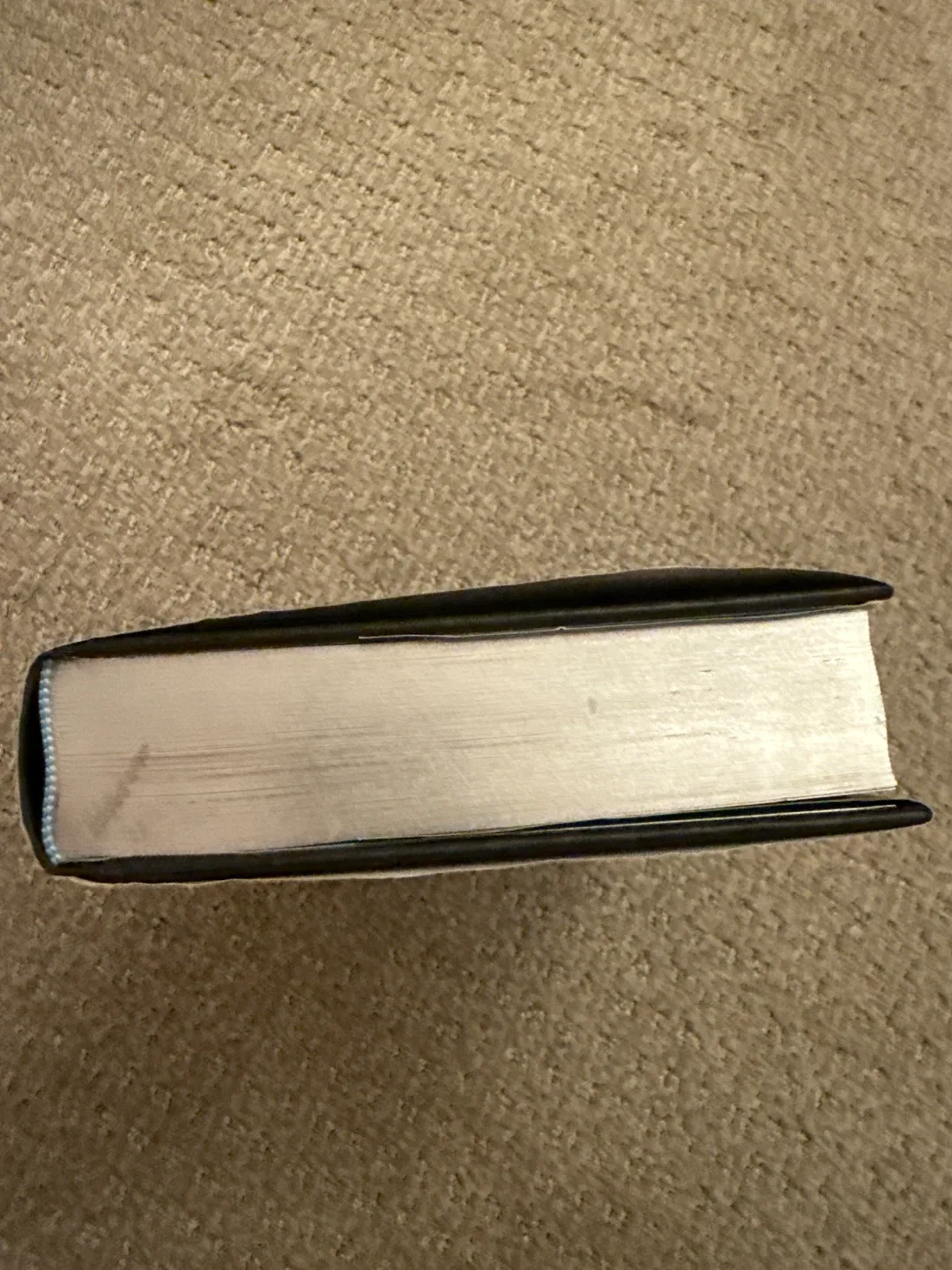 Silver Elite by Dani Francis image indicator(4)