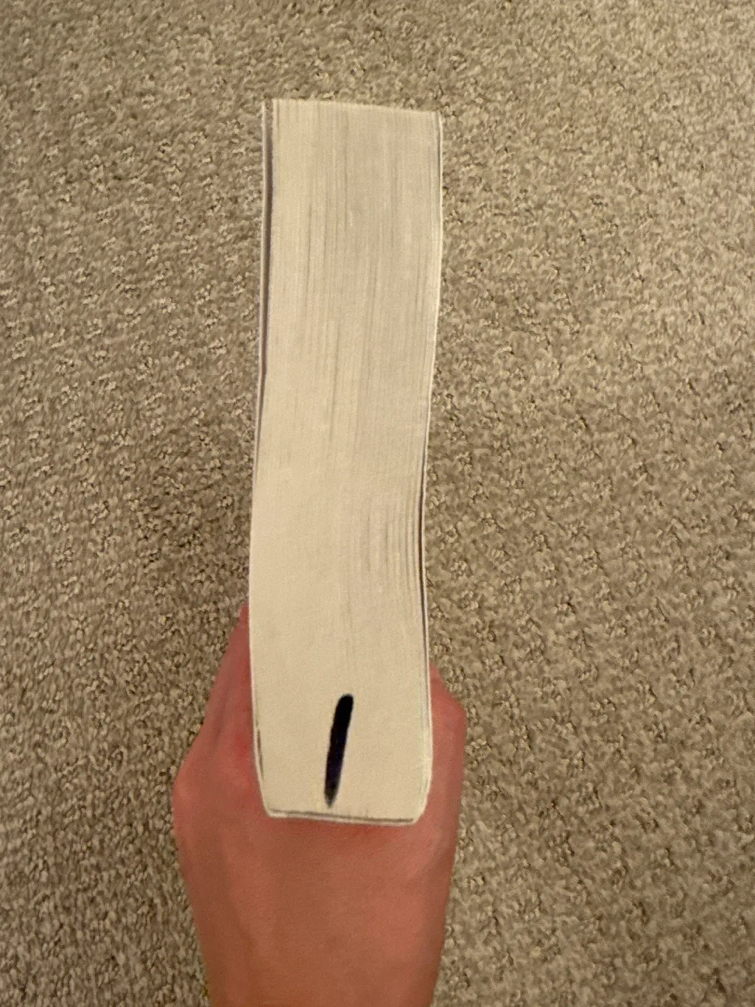 Love & Other Words by Christina Lauren image indicator(2)