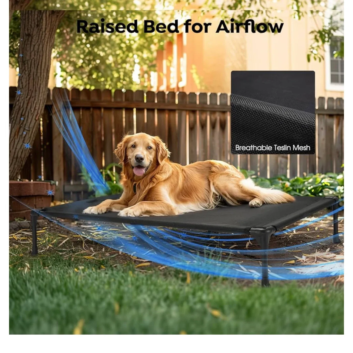 Cozy Three-Sides Pillow-Top Dog Bed (Medium) image indicator(6)