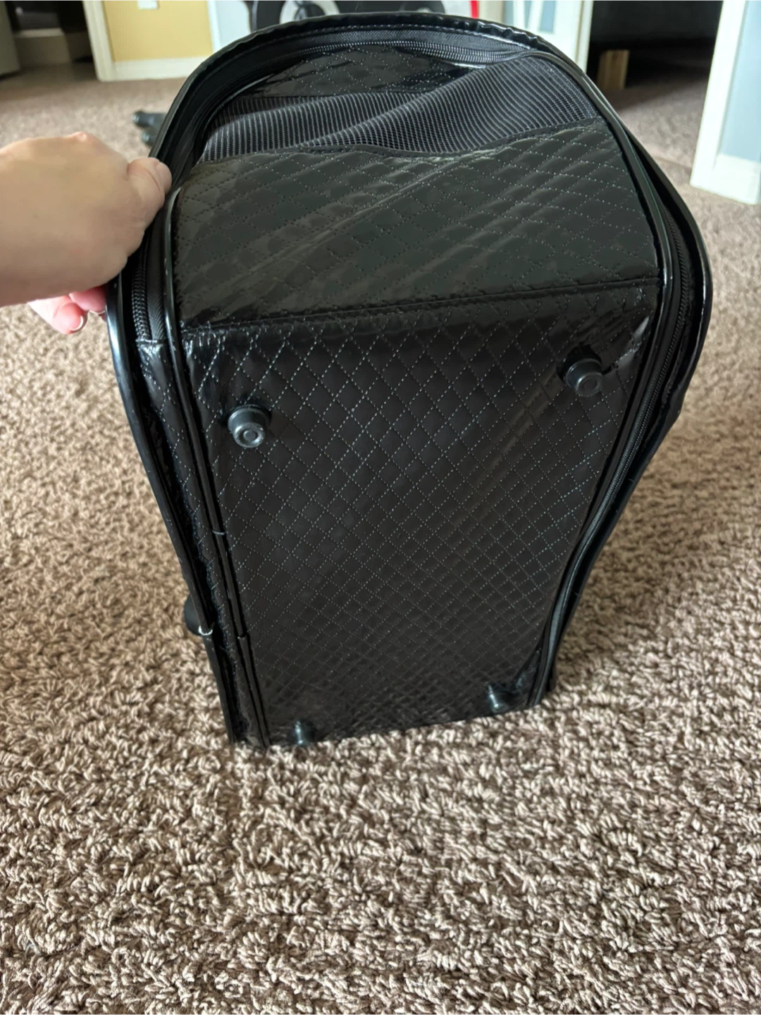 Black Pet Carrier - photo 3