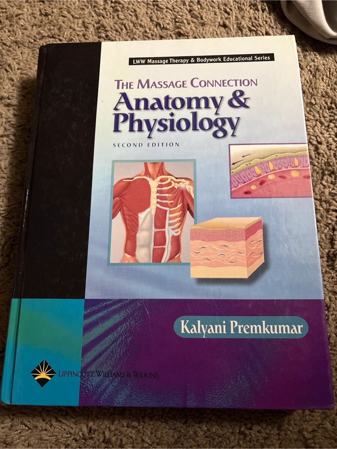 The Massage Connection Anatomy & Physiology 2nd Edition