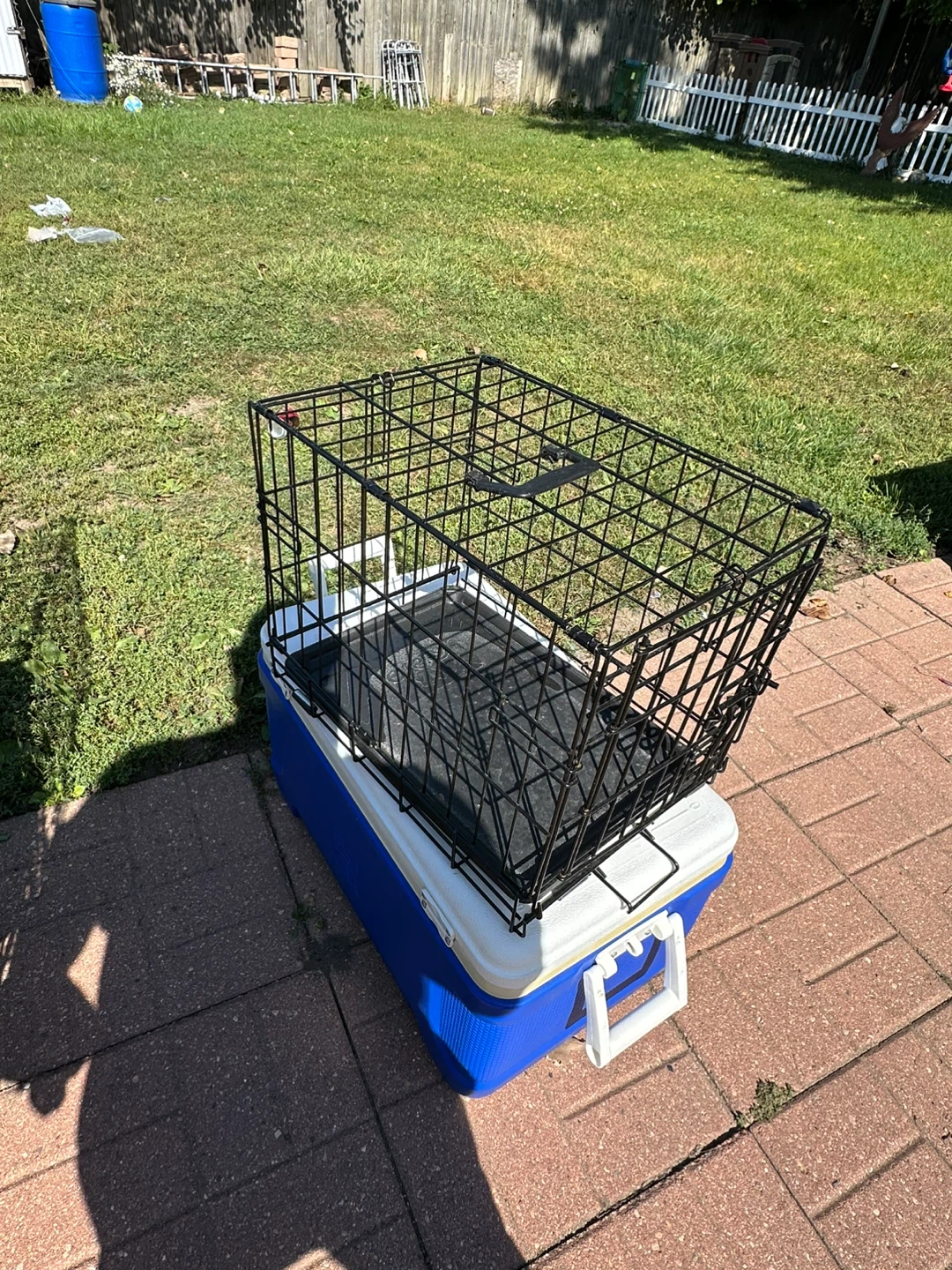 Black Wire Dog Crate - 18" x 15" x 12" - photo 2