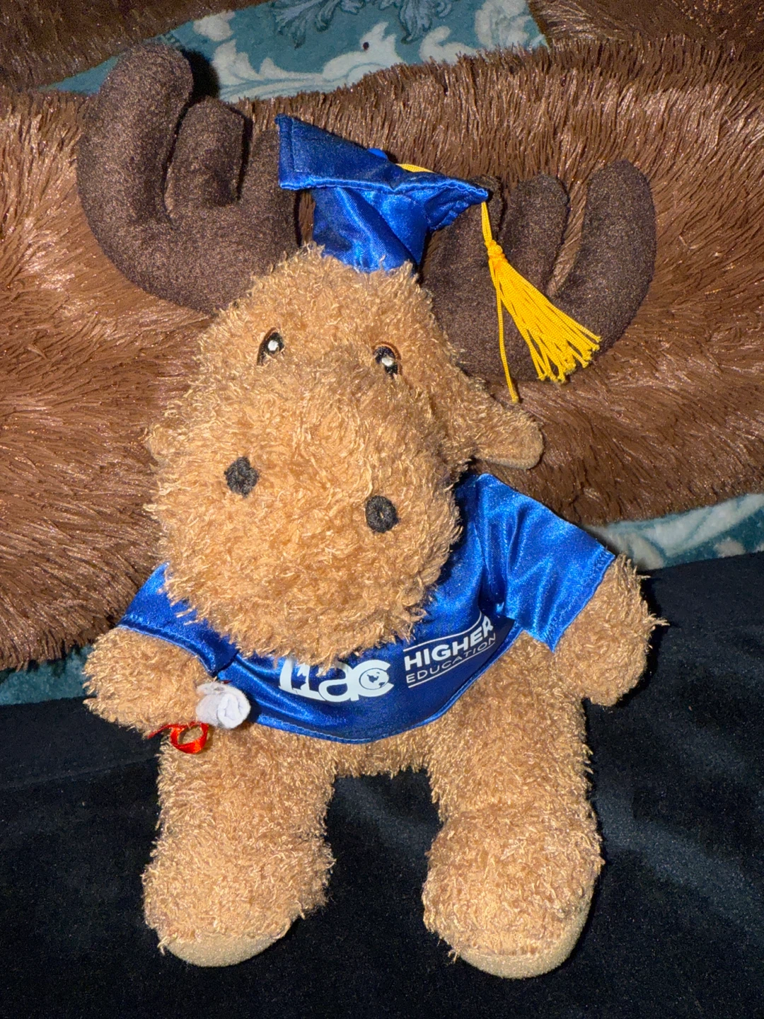Moose Plush Toy with Graduation Outfit