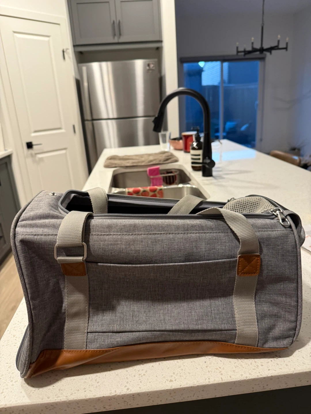 Pet carrier