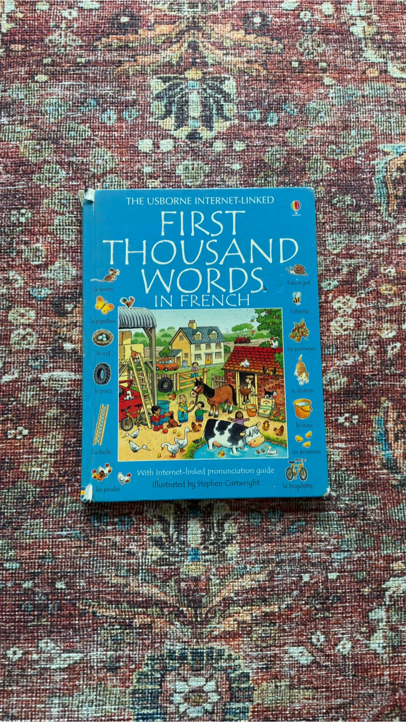Usborne First Thousand Words in French Book
