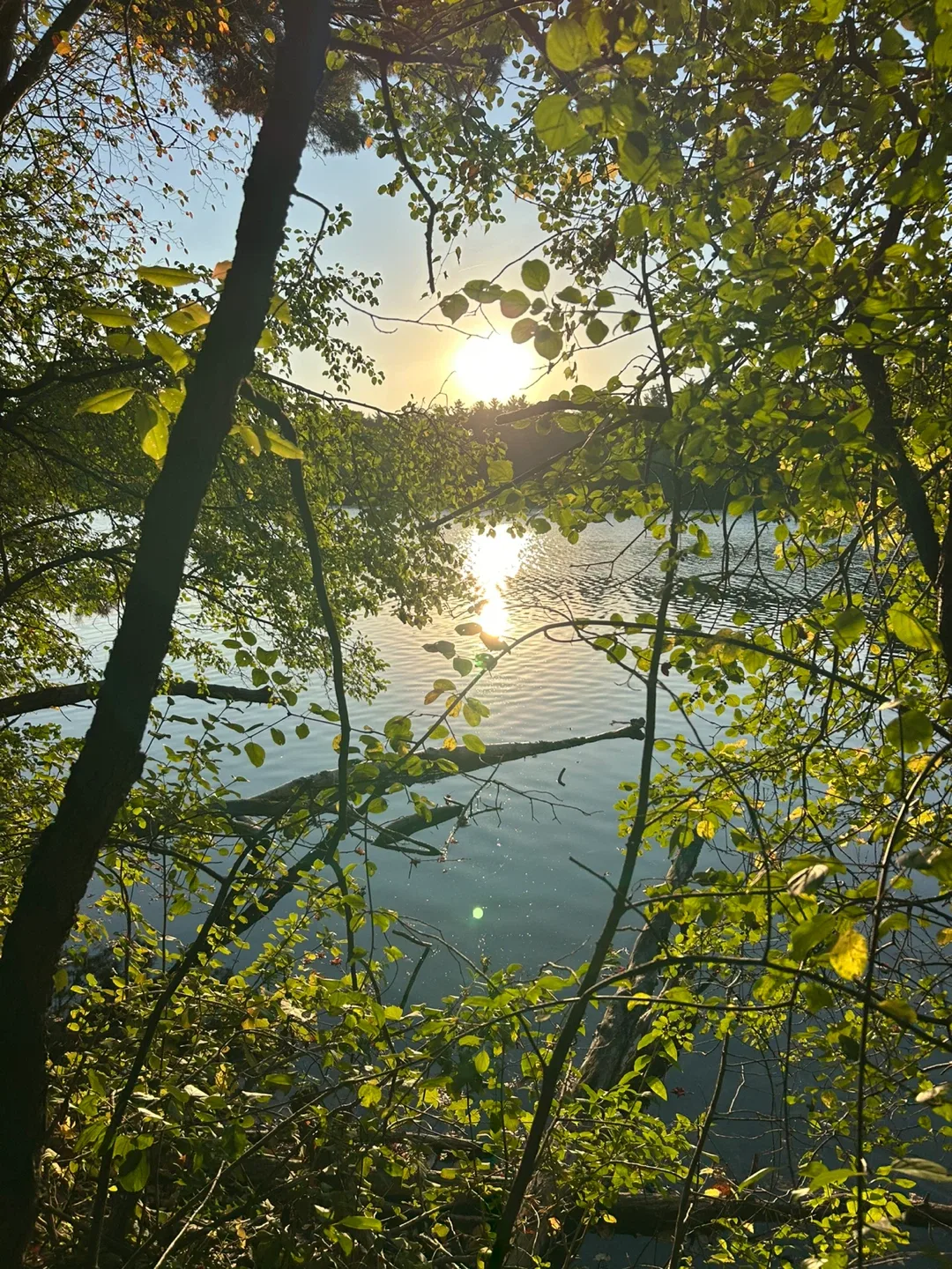 Views of Bond Lake in the early morning. FREE! thumbnail