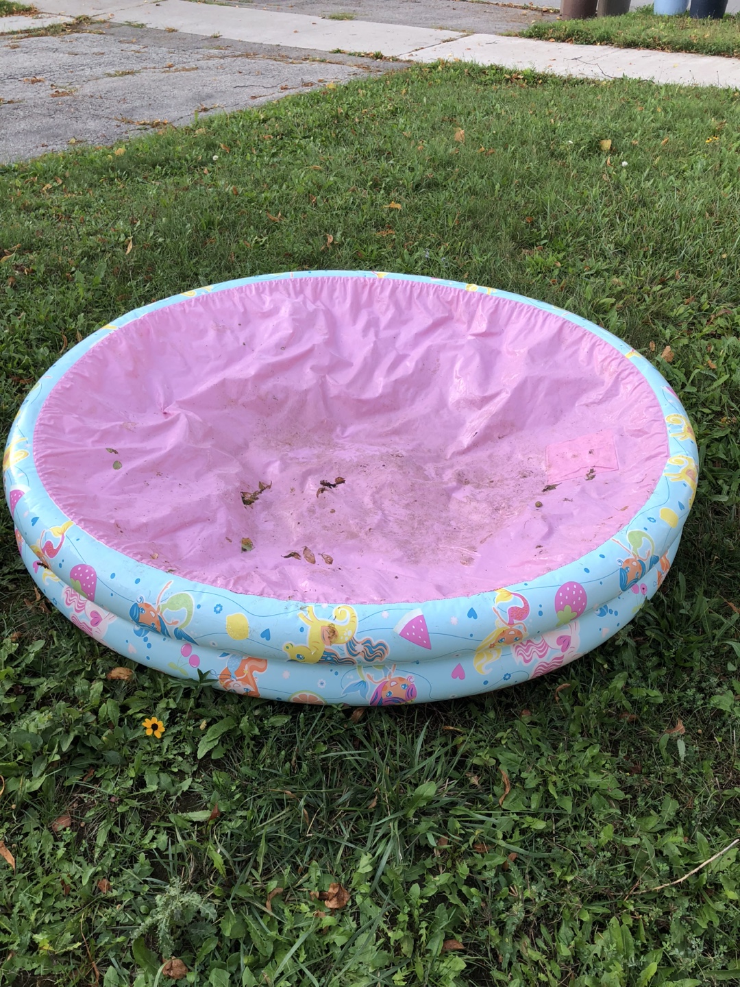 My Little Pony Inflatable Pool - photo 2