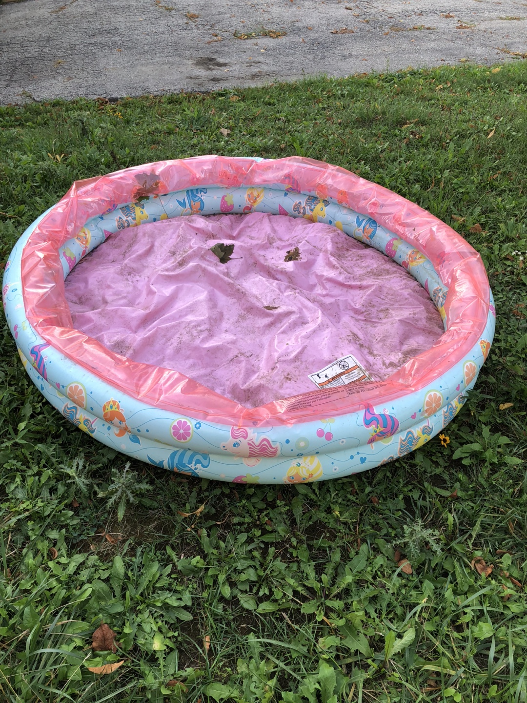 My Little Pony Inflatable Pool