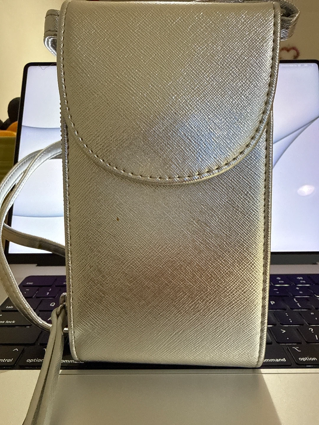Silver Crossbody Phone Bag