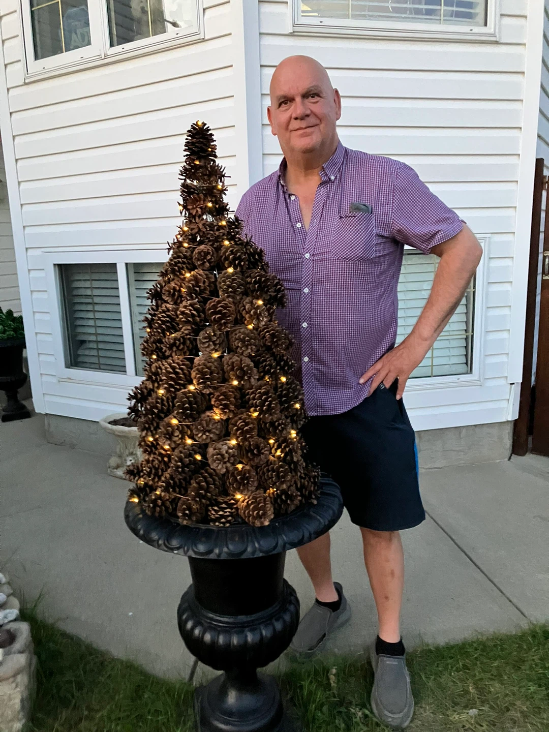 Pinecone Tree with Lights