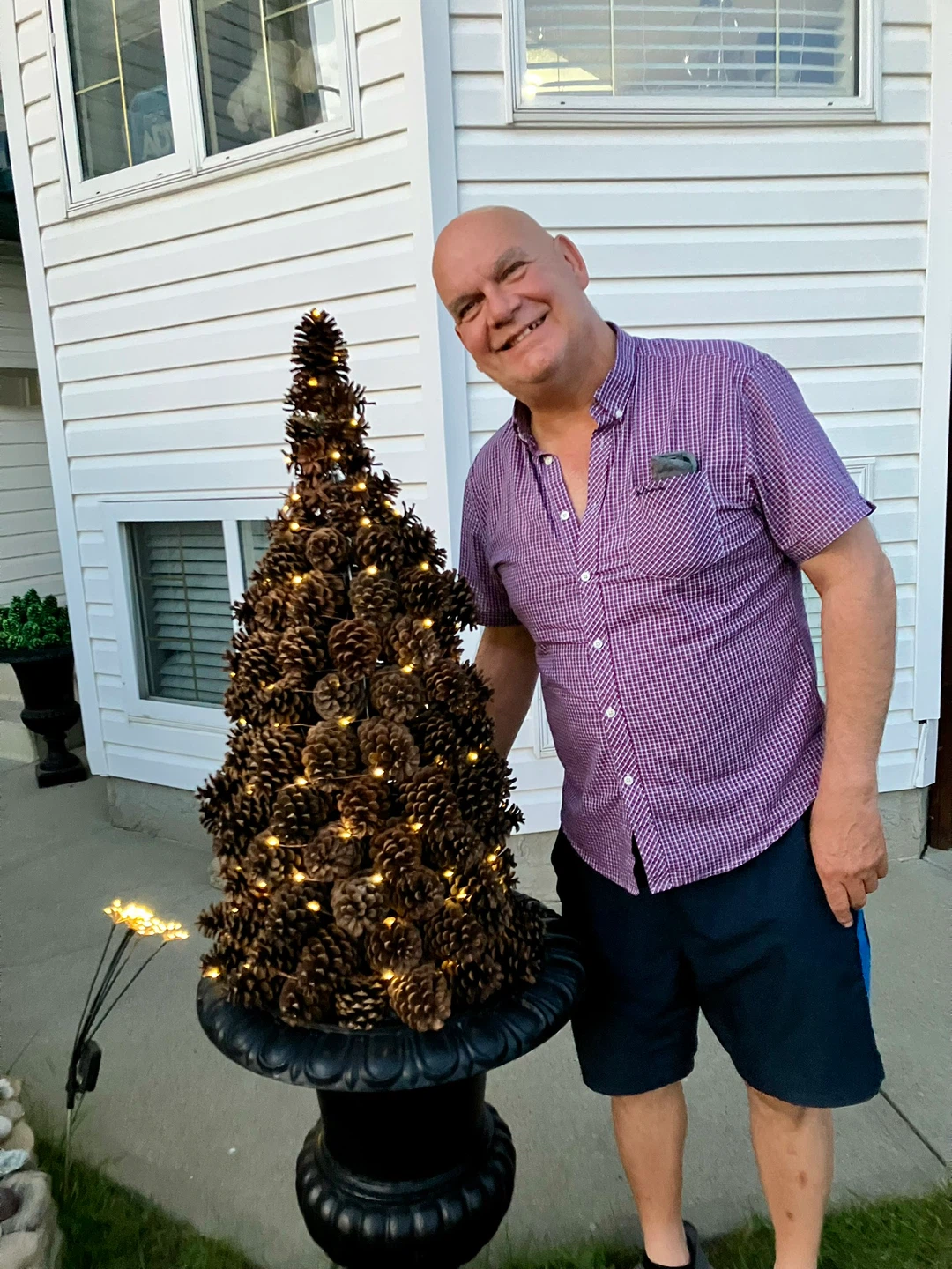 Pinecone Tree with Lights - photo 4
