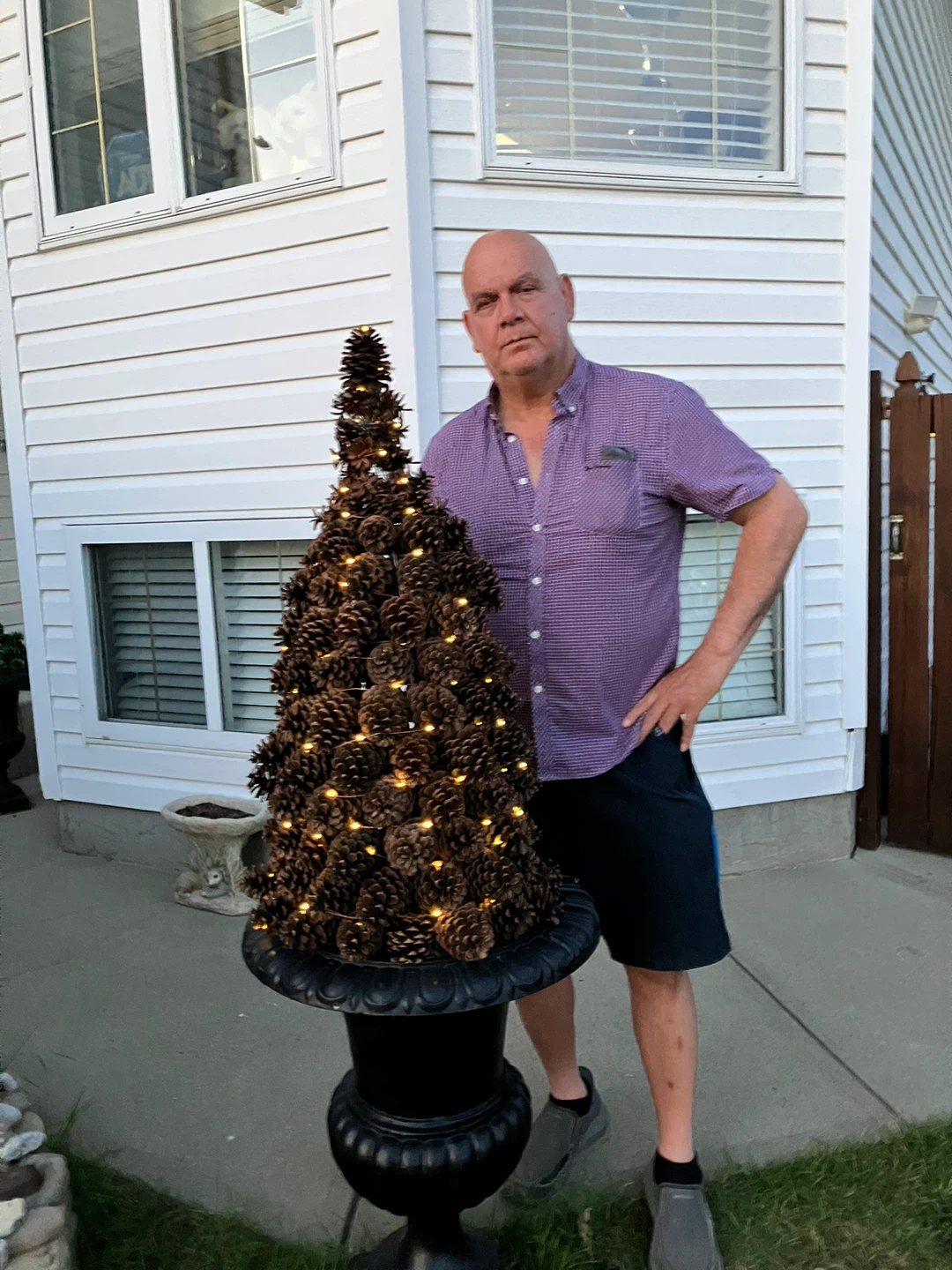 Pinecone Tree with Lights - photo 5