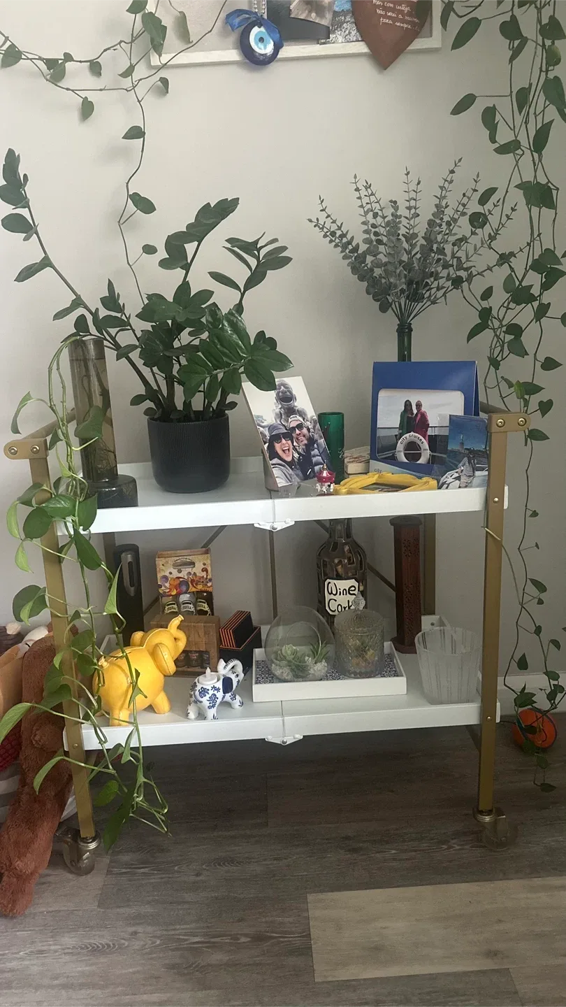 Home Bar Cart image indicator(2)