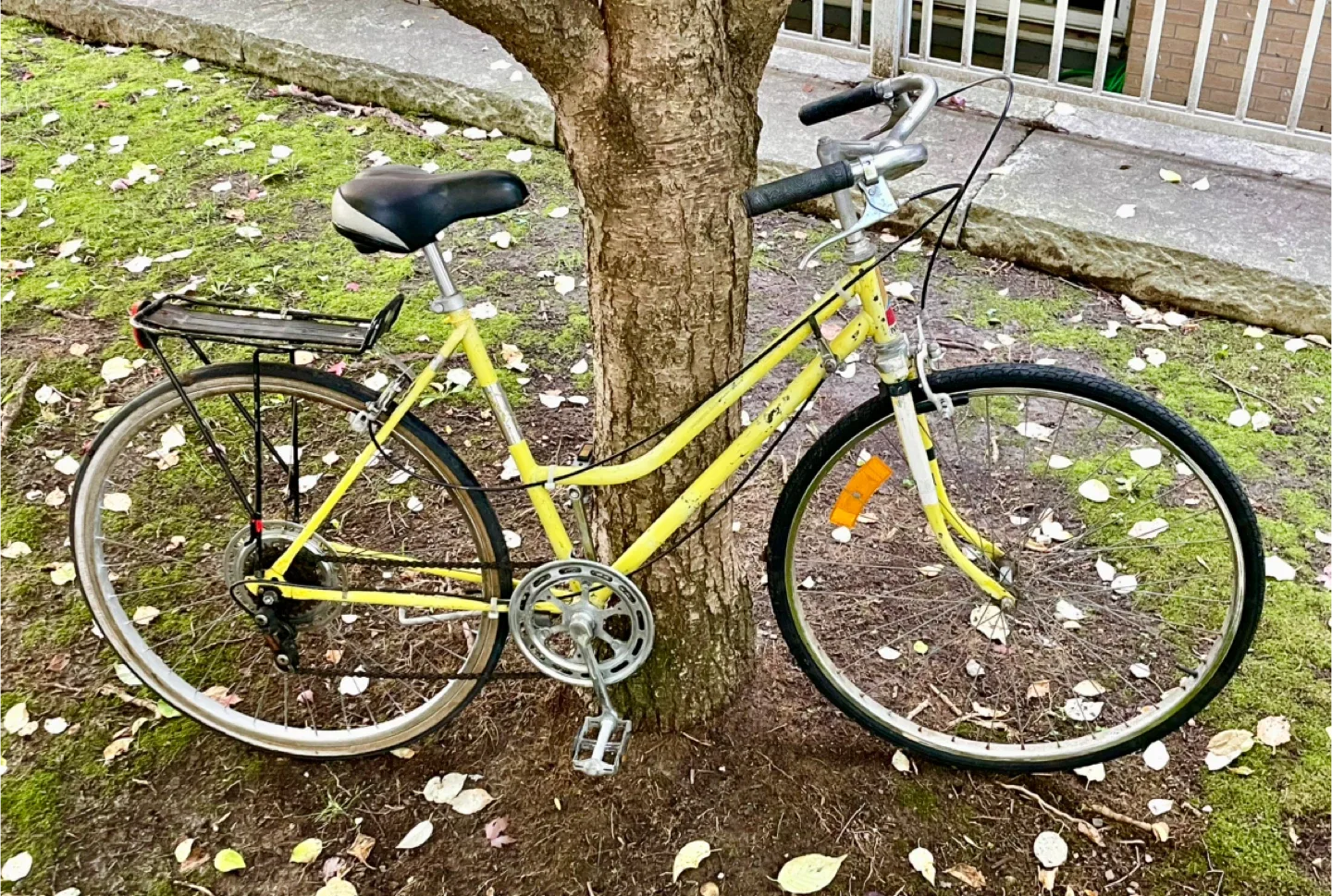 Fun for Fall! Adorable vintage 5 speed cruiser. Ride home thumbnail