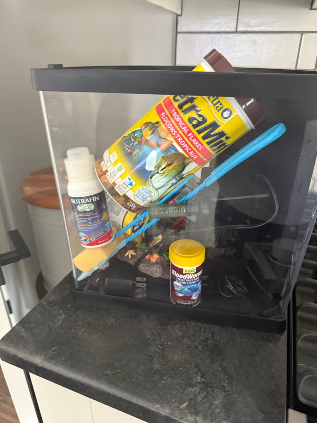 Fish tank with accessories