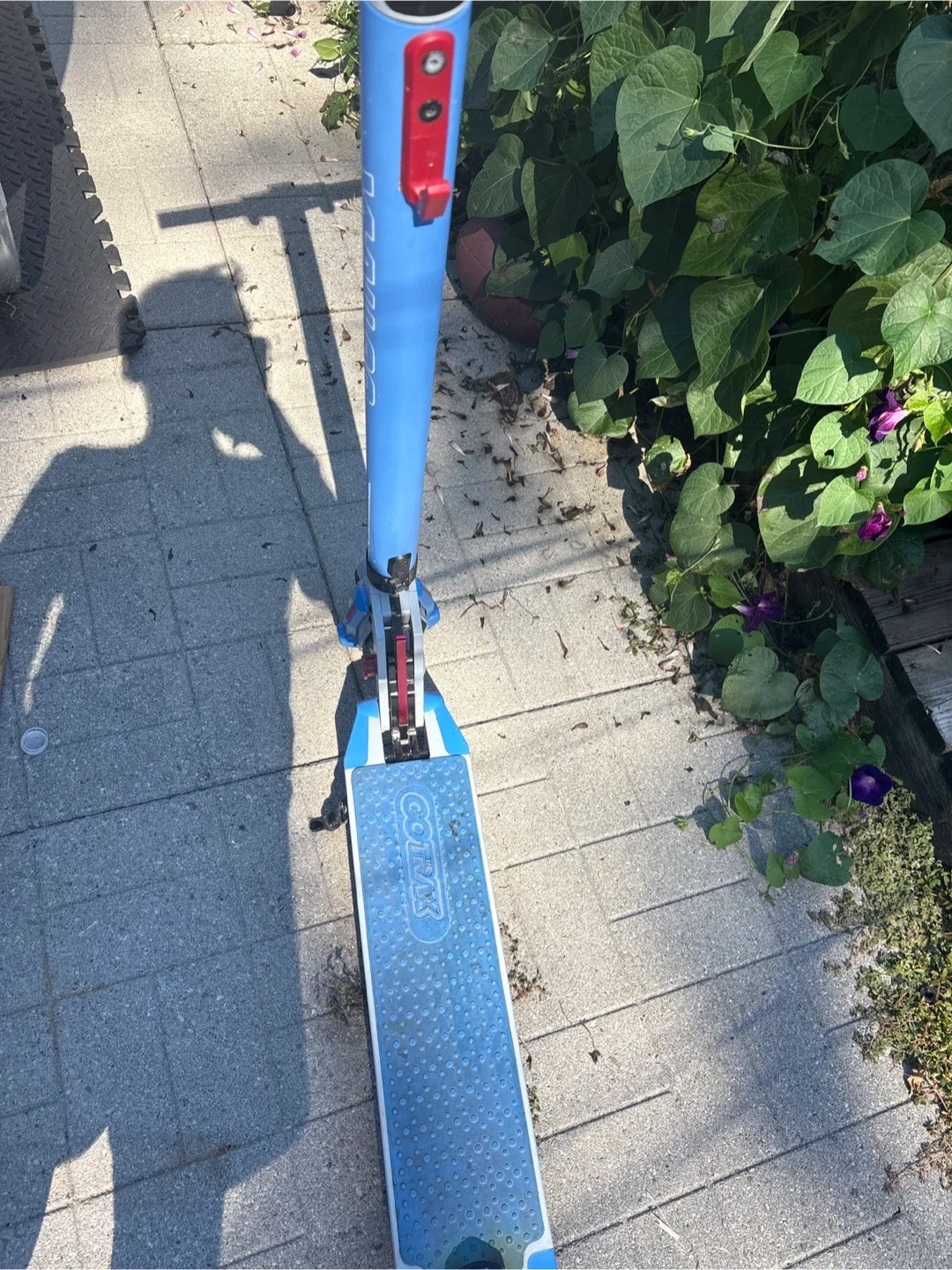 GOTRAX Electric Scooter image indicator(2)