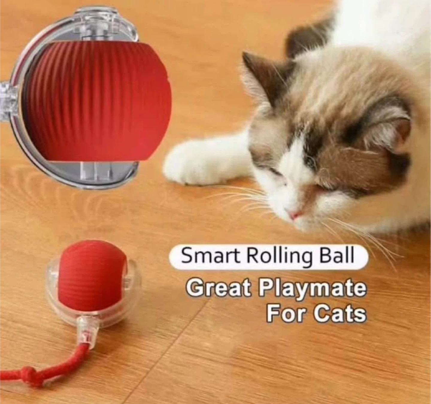 Pet Carrier Backpack with electric ball - photo 3
