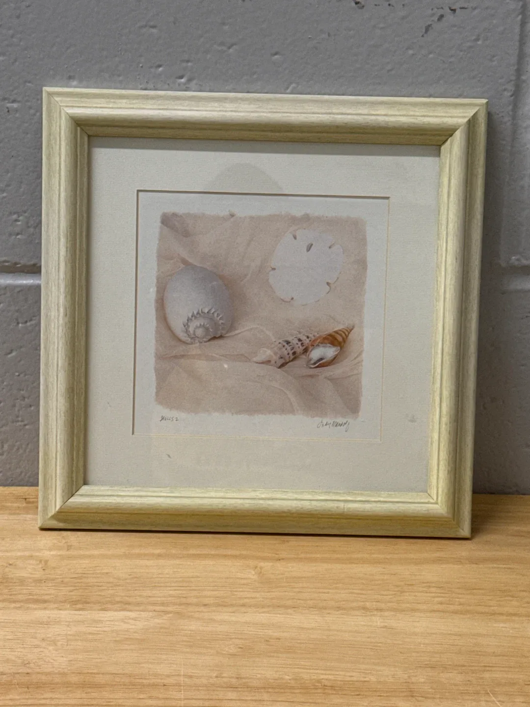 Framed Art Print - Shells thumbnail