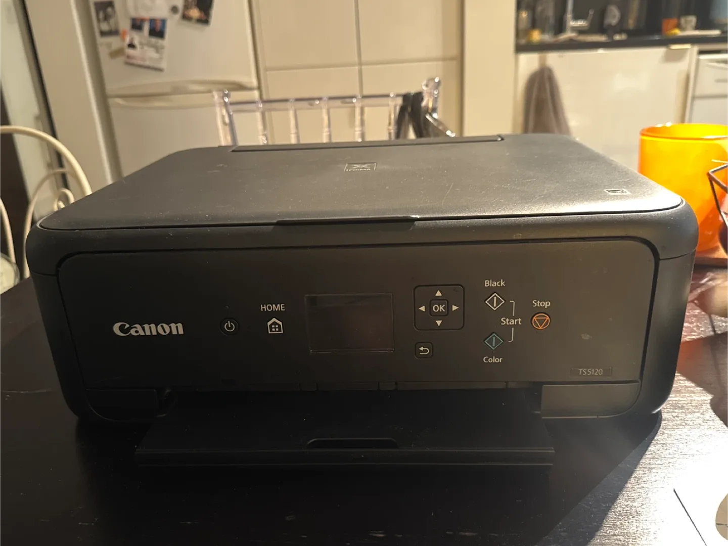 Canon TS5120 Printer