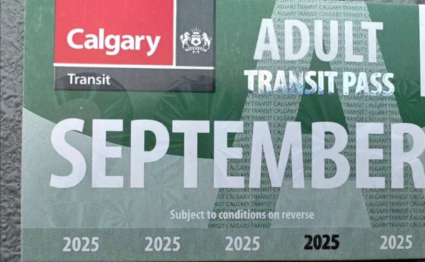 Calgary Transit Adult September 2025 Pass
