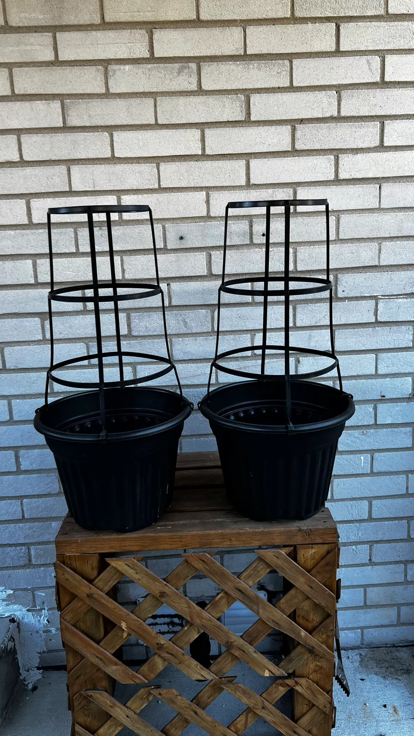 Tomato Cage with Planter Pot - Black
