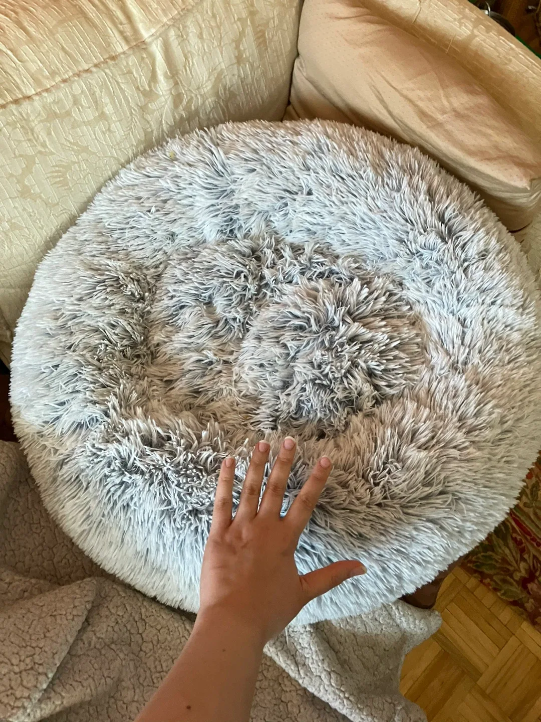 Pet bed image indicator(2)