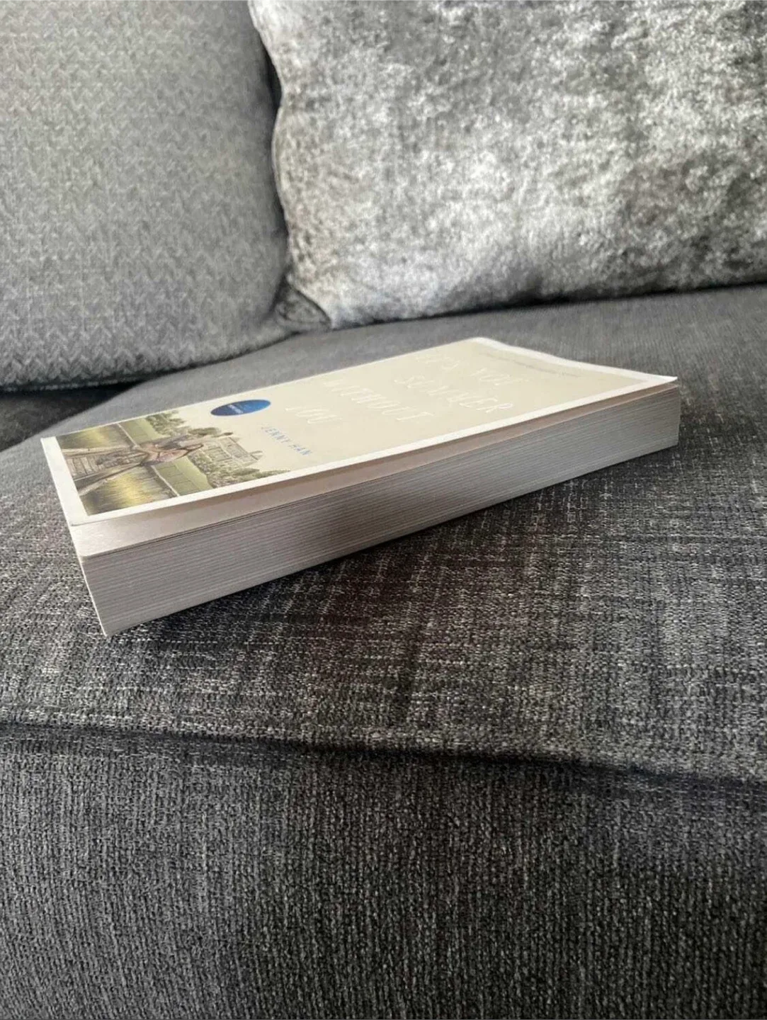 It's Not Summer Without You by Jenny Han image indicator(2)