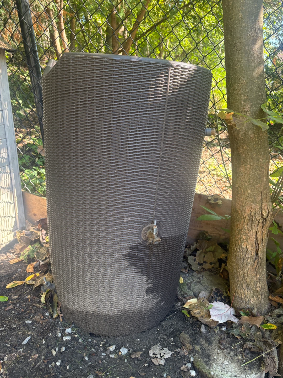 Rain Barrel