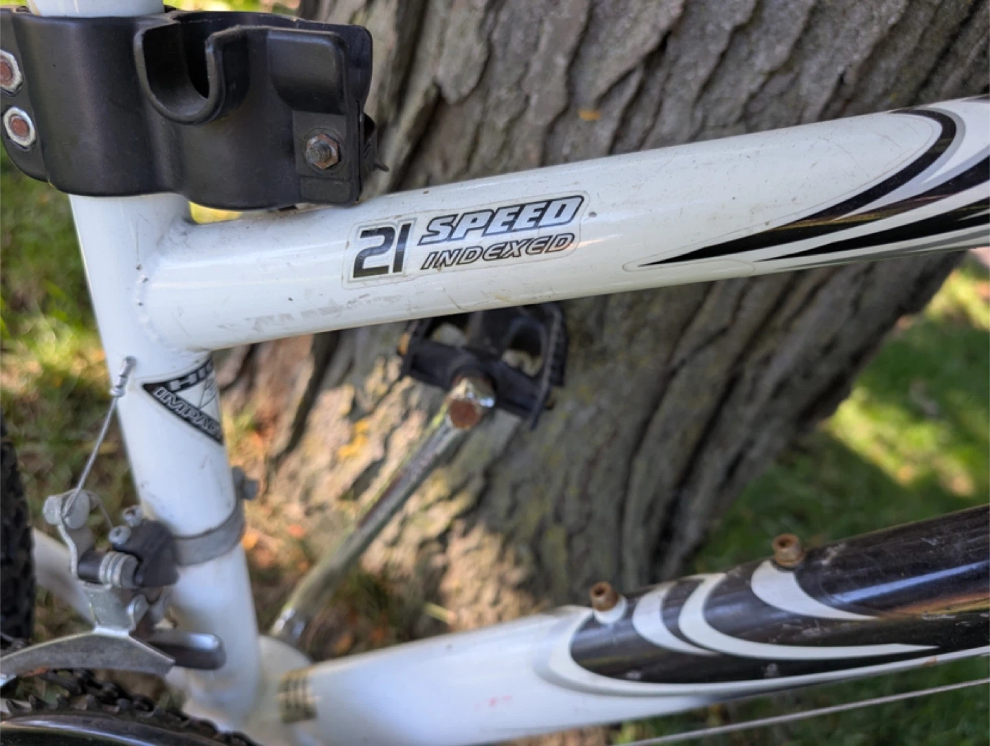 Propulsion Tech Team 21 Speed Indexed Bike - photo 2