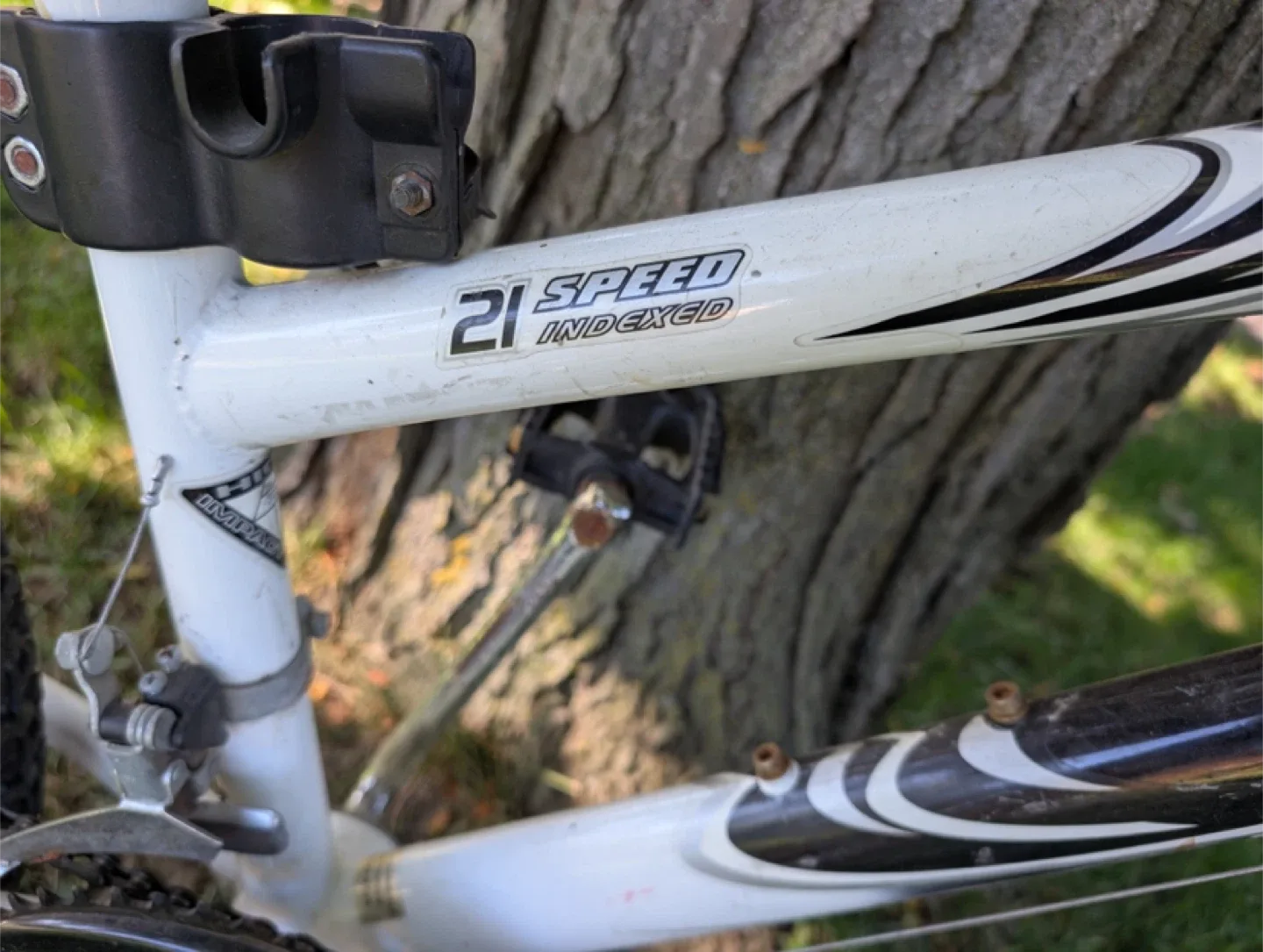 Propulsion Tech Team 21 Speed Indexed Bike image indicator(2)