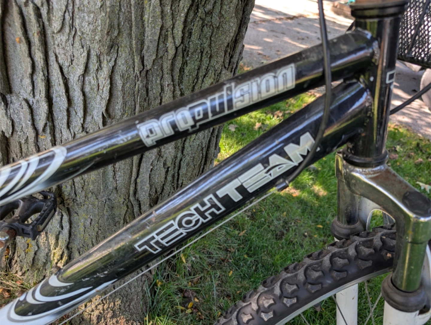 Propulsion Tech Team 21 Speed Indexed Bike - photo 3