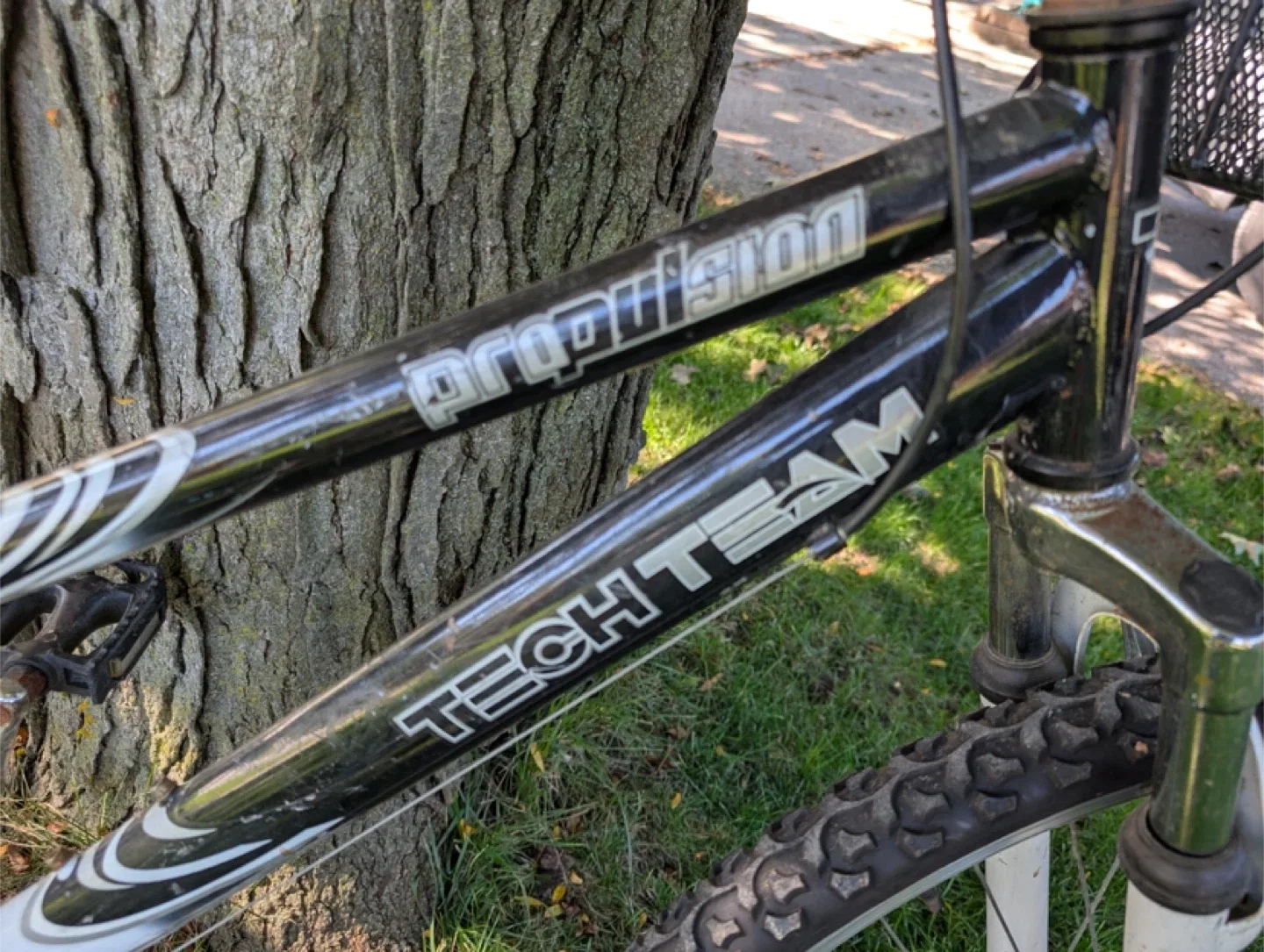 Propulsion Tech Team 21 Speed Indexed Bike image indicator(3)