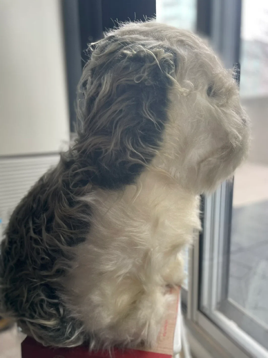 Vintage stuff toy image indicator(2)