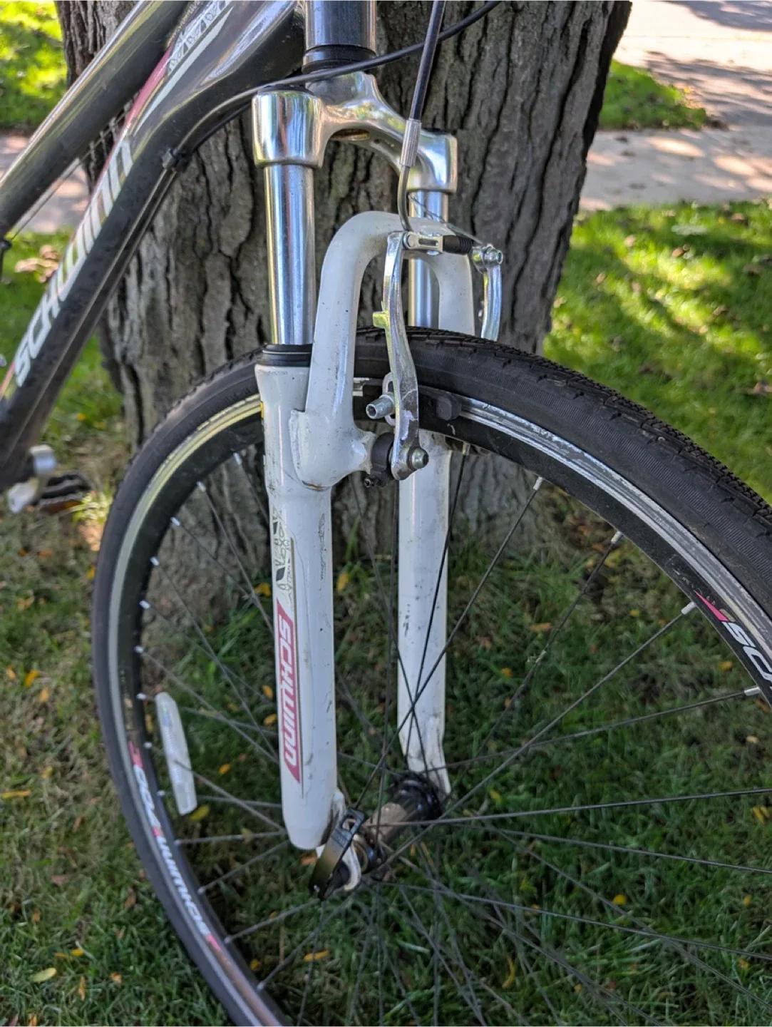 Schwinn 700C Hybrid Bike image indicator(3)